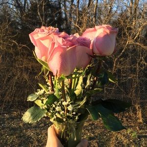 Meet your Posher, Deidra